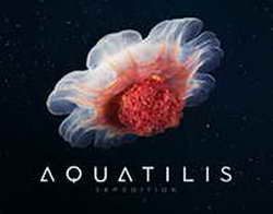 Живая история на сцене: спектакль Царский путь соединяет прошлое и настоящее через стихи и драму